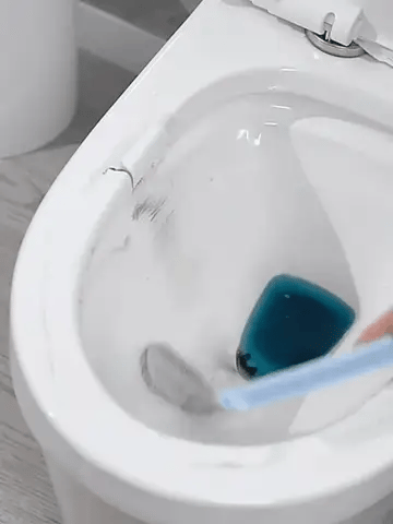 Brosse de toilettes nouvelle génération